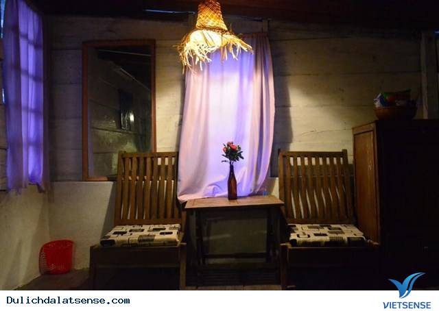 Khu Homestay Mới Đẹp Ngẩn Ngơ Giữa Rừng Thông Đà Lạt - Ảnh 10 Khu Homestay Mới Đẹp Ngẩn Ngơ Giữa Rừng Thông Đà Lạt - Ảnh 10