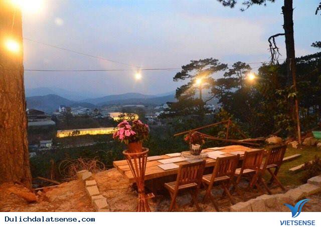Khu Homestay Mới Đẹp Ngẩn Ngơ Giữa Rừng Thông Đà Lạt - Ảnh 8 Khu Homestay Mới Đẹp Ngẩn Ngơ Giữa Rừng Thông Đà Lạt - Ảnh 8