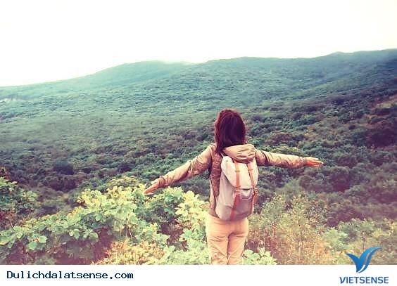 Cần chuẩn bị những gì khi đến Đà Lạt? - Ảnh 1 Cần chuẩn bị những gì khi đến Đà Lạt? - Ảnh 1