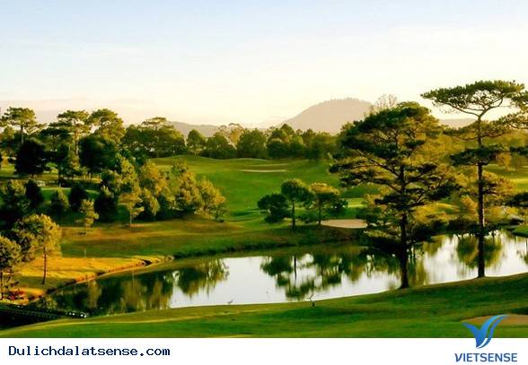 Dat ve may bay di Da Lat