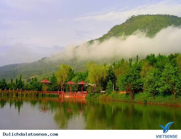 Ve may bay di Da Lat