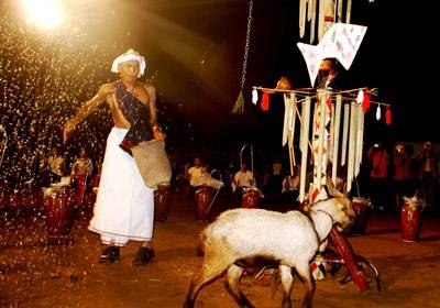 Lễ Hội Cúng Thần Bơ Mung Của Người Churu - Ảnh 1