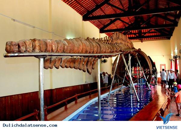 Ngày 2: Đà Lạt – Phan Thiết