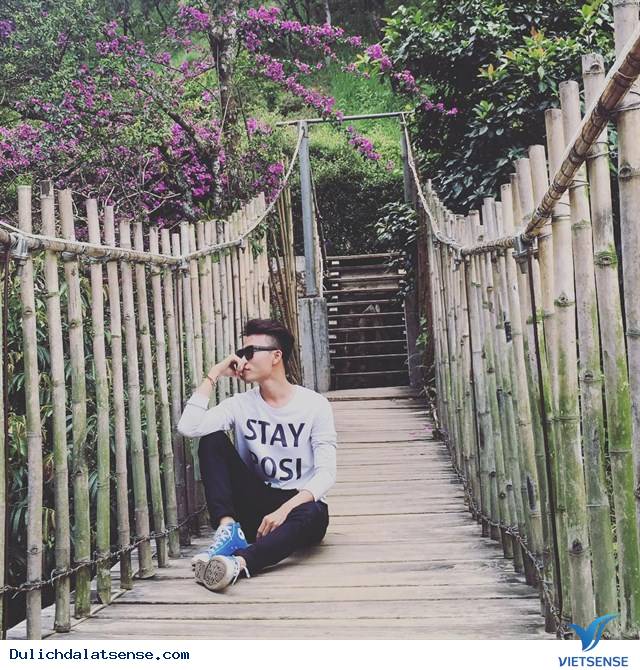 Ma Rừng Lữ Quán – Xứ Sở Thần Tiên - Ảnh 6