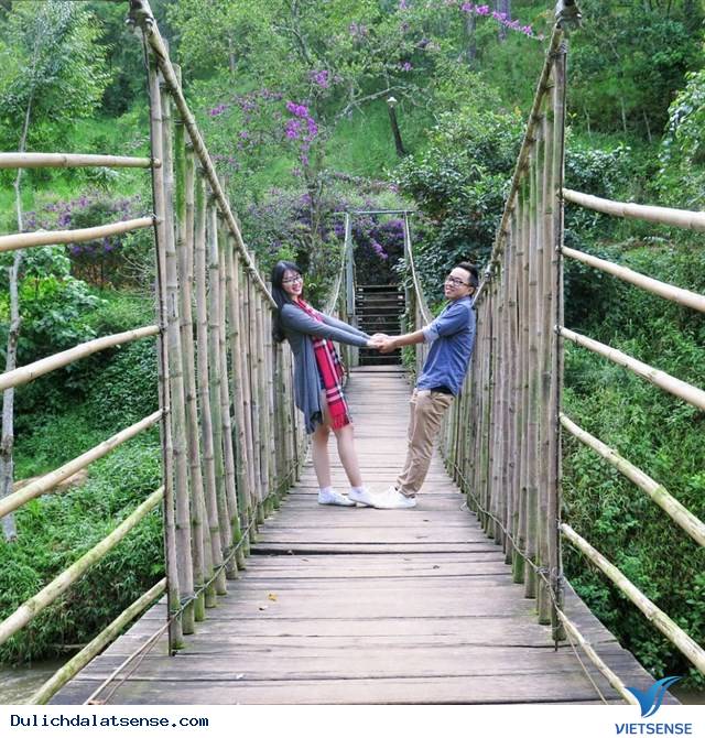 Ma Rừng Lữ Quán – Xứ Sở Thần Tiên - Ảnh 7