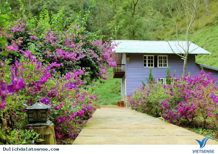 Ma Rừng Lữ Quán – Xứ Sở Thần Tiên - Ảnh 9