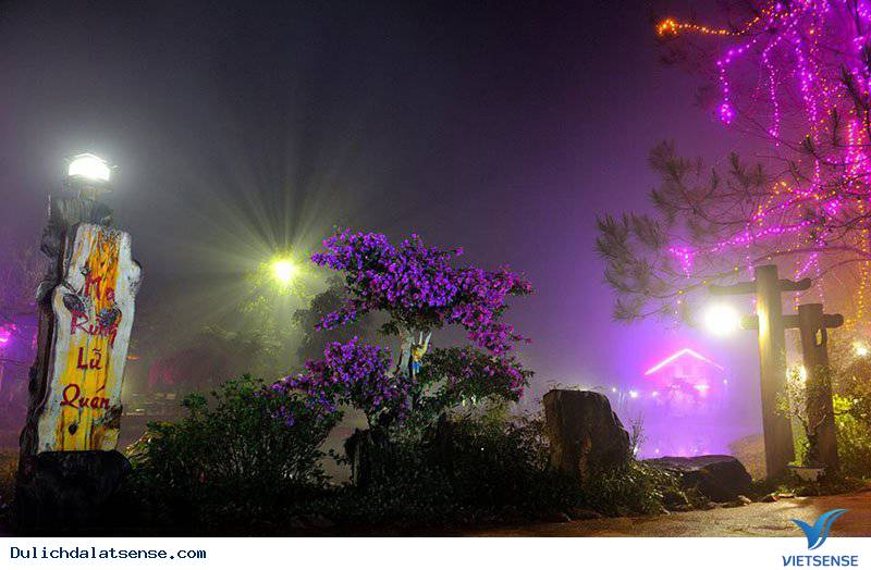 Ma Rừng Lữ Quán – Xứ Sở Thần Tiên - Ảnh 4