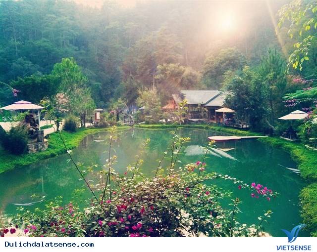 Ma Rừng Lữ Quán – Xứ Sở Thần Tiên - Ảnh 10