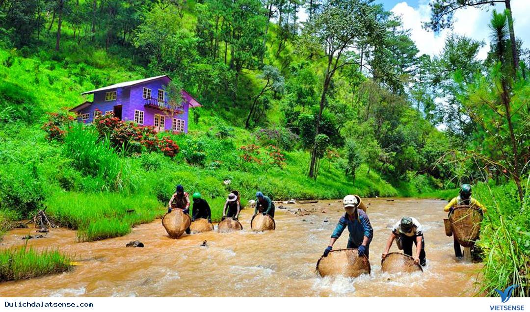 Ma Rừng Lữ Quán – Xứ Sở Thần Tiên - Ảnh 8