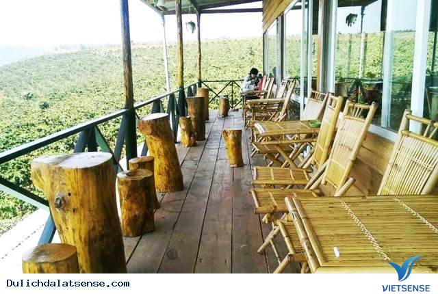 Ngắm vẻ đẹp hoàng hôn Đà Lạt - Ảnh 4