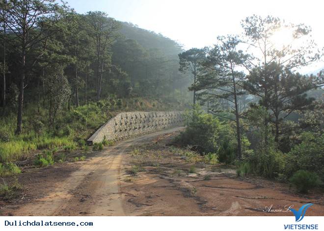 Đỉnh LangBiang - Ảnh 3