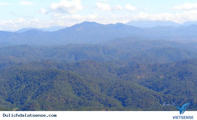 Đỉnh Ra-đa - Ảnh 4