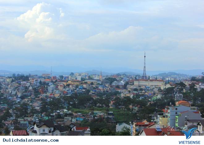 Đồi Robin - Ảnh 1