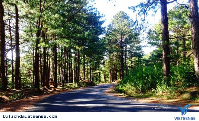 Đỉnh Ra-đa - Ảnh 1