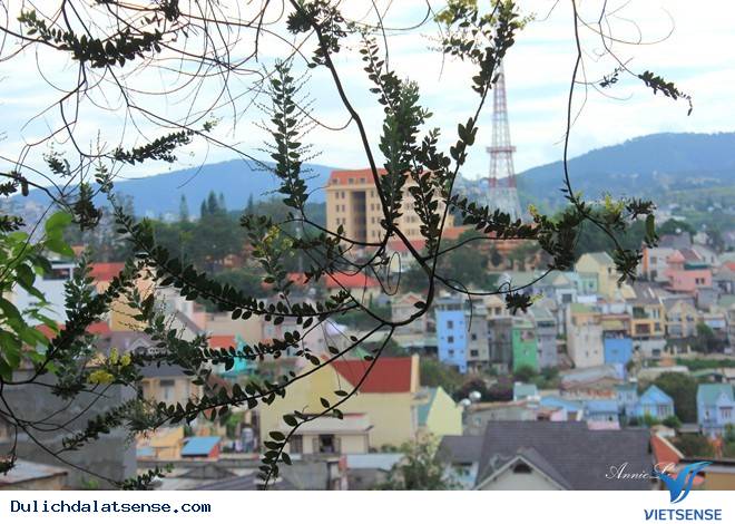 Nhà thờ Mai Anh - Ảnh 1