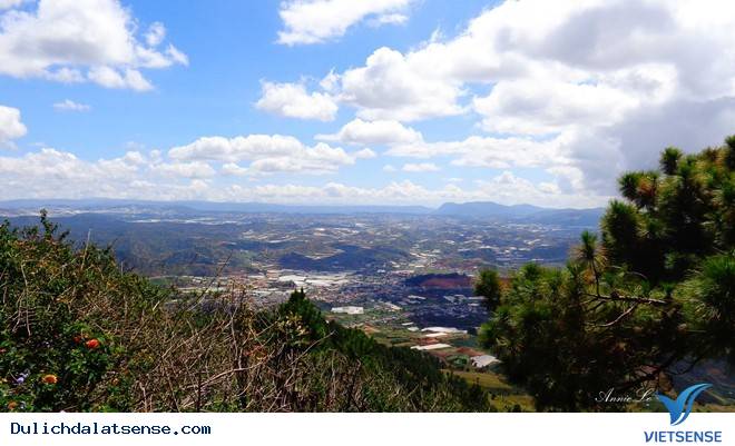 Đỉnh Ra-đa - Ảnh 3