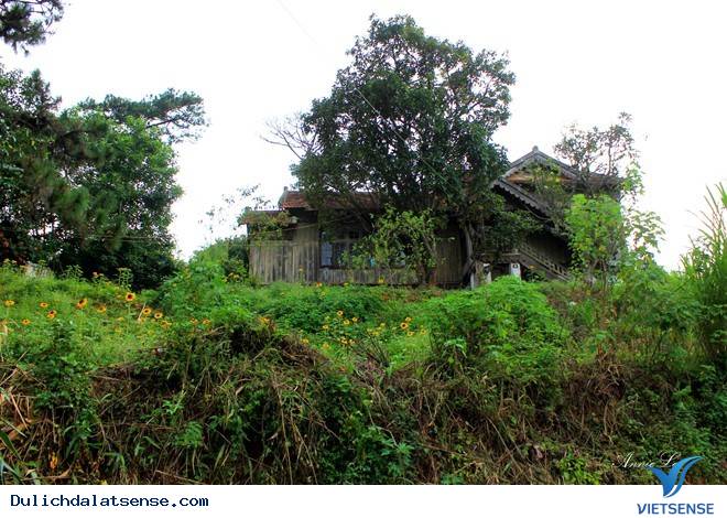 Đồi Robin - Ảnh 2