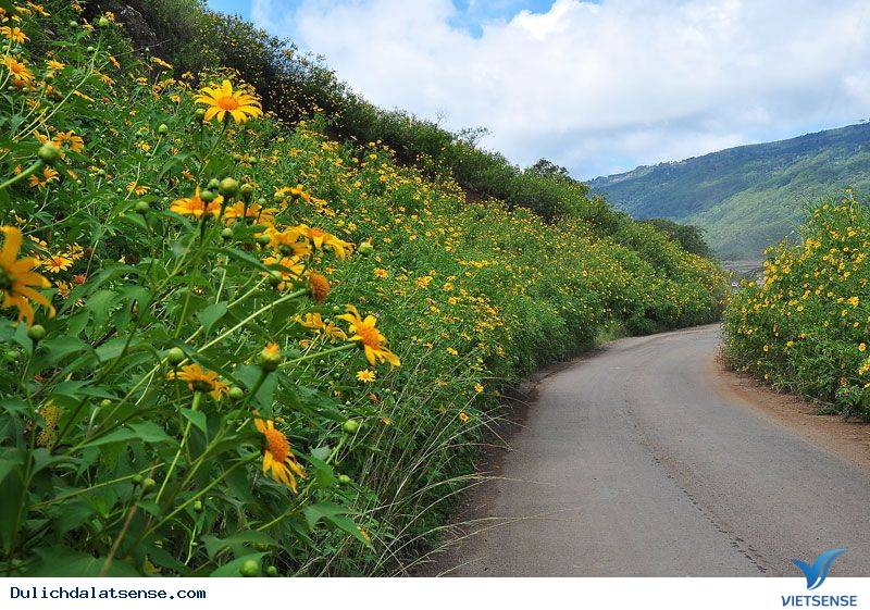 Những cung đường đèo hùng vĩ ở Đà Lạt - Ảnh 4