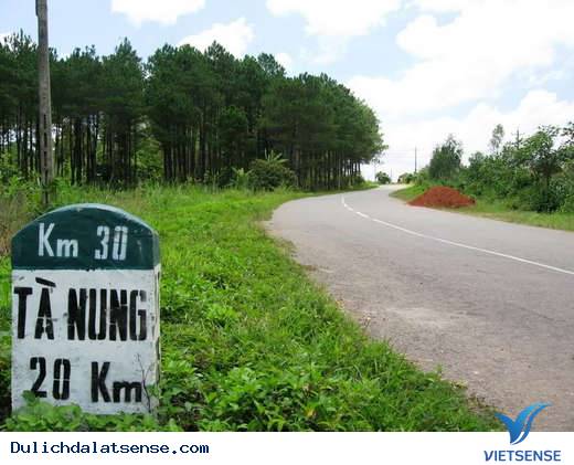 Những cung đường đèo hùng vĩ ở Đà Lạt - Ảnh 3