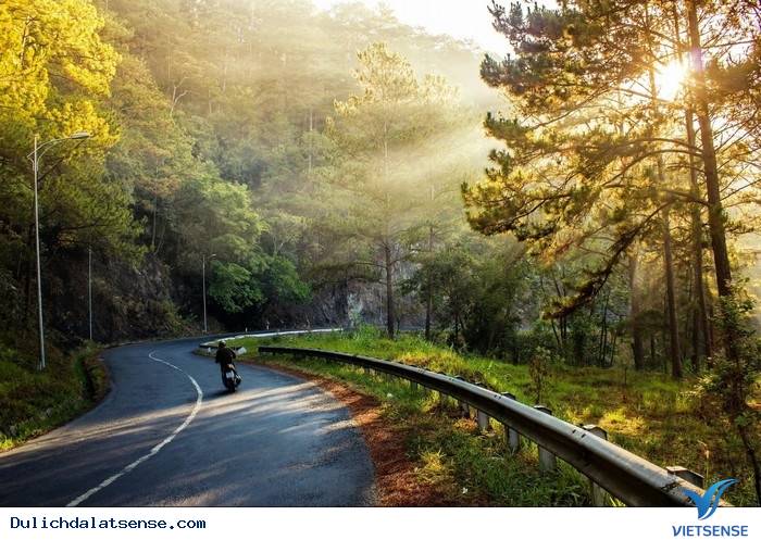 Những cung đường đèo hùng vĩ ở Đà Lạt - Ảnh 2