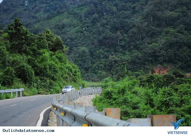 Những cung đường đèo hùng vĩ ở Đà Lạt - Ảnh 6