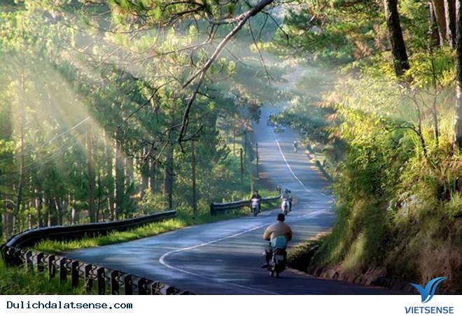 Những cung đường đèo hùng vĩ ở Đà Lạt - Ảnh 1