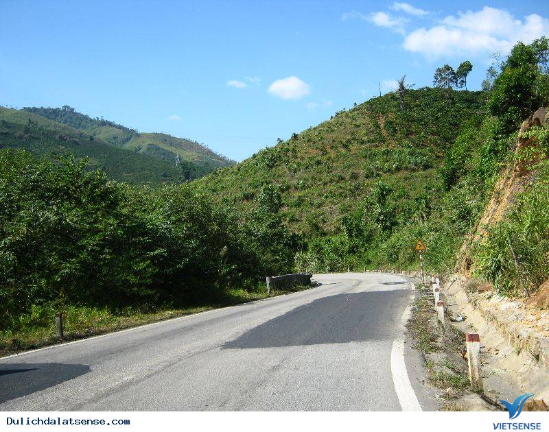 Những cung đường đèo hùng vĩ ở Đà Lạt - Ảnh 5