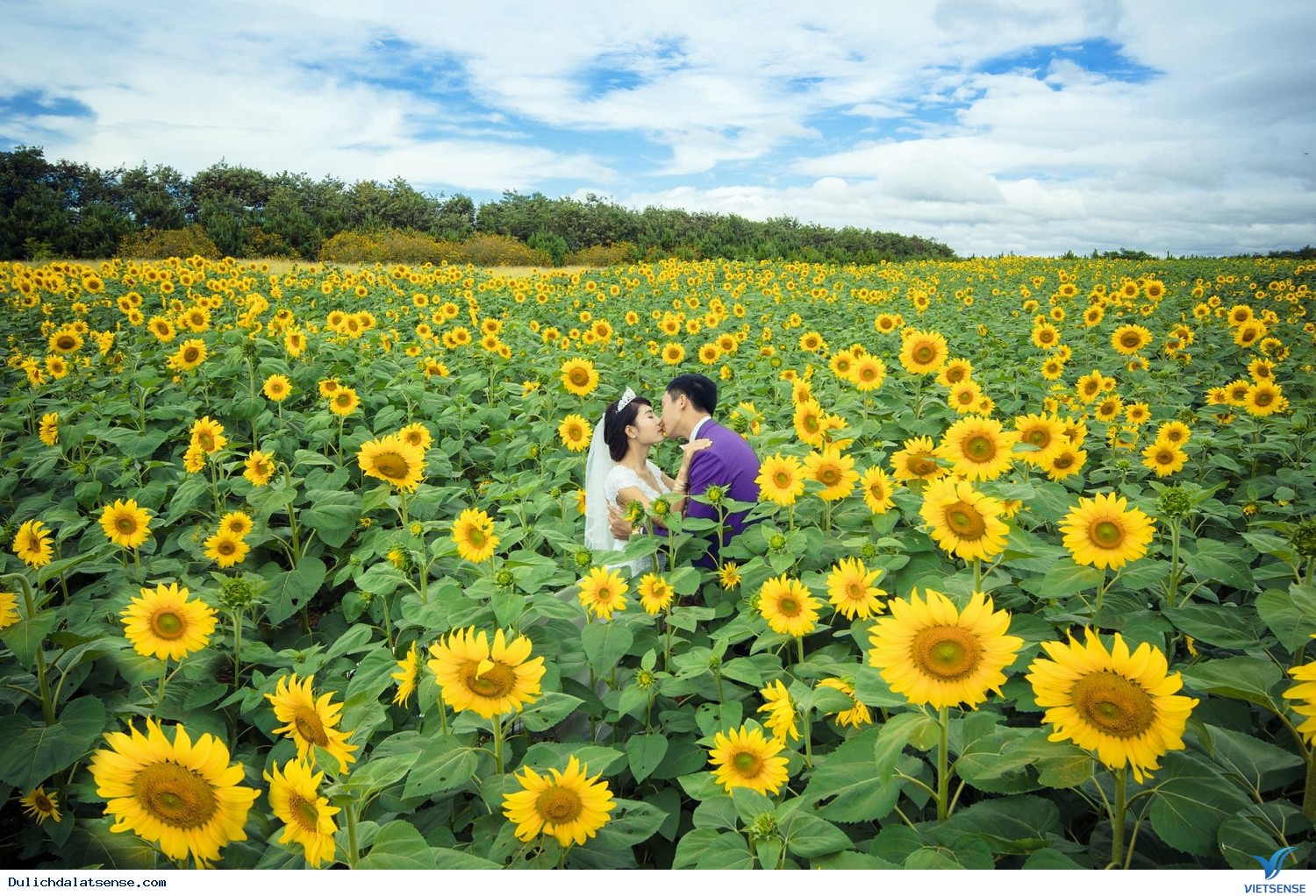 Những địa điểm chụp hình cưới tuyệt đẹp ở Đà Lạt - Ảnh 1 Những địa điểm chụp hình cưới tuyệt đẹp ở Đà Lạt - Ảnh 1