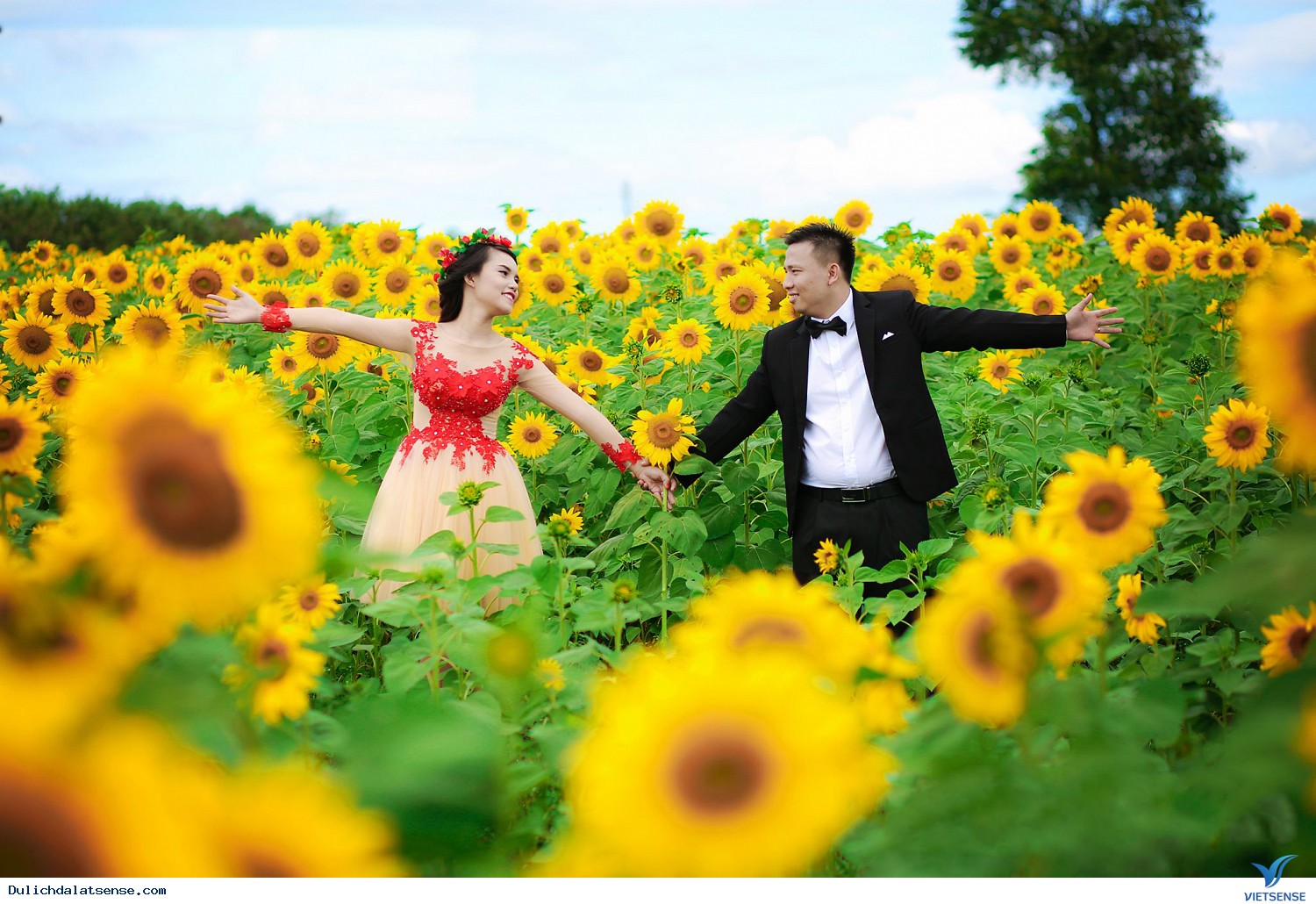 Vườn hoa thành phố Vườn hoa thành phố