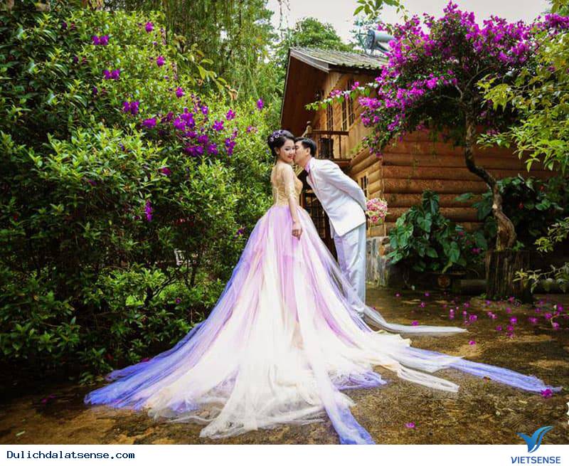 Ma rừng lữ quán Ma rừng lữ quán