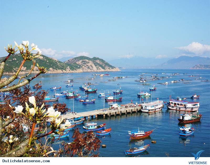 Những Điểm Đến Lý Tưởng Dành Cho Người Thích hành trình Một Mình - Ảnh 2 Những Điểm Đến Lý Tưởng Dành Cho Người Thích hành trình Một Mình - Ảnh 2