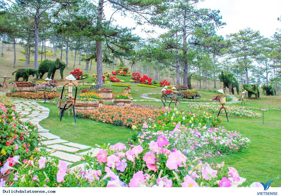 Những điều cần biết để có chuyến đi du xuân tết Đà Lạt giá rẻ - Ảnh 1 Những điều cần biết để có chuyến đi du xuân tết Đà Lạt giá rẻ - Ảnh 1