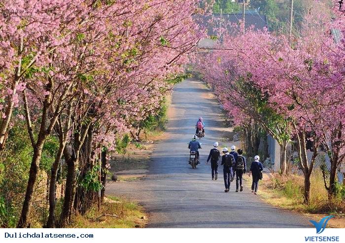 Giới thiệu Giới thiệu