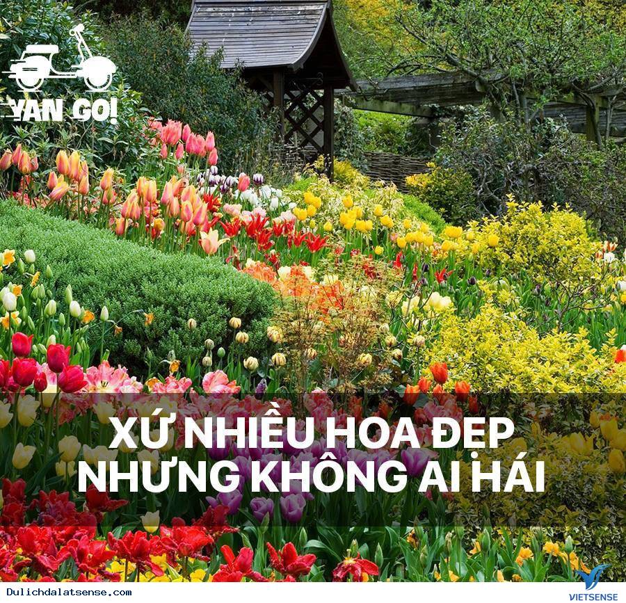 Những Điều Đơn Giản Mà Đặc Biệt Làm Nên Đà Lạt Mộng Mơ - Ảnh 5 Những Điều Đơn Giản Mà Đặc Biệt Làm Nên Đà Lạt Mộng Mơ - Ảnh 5