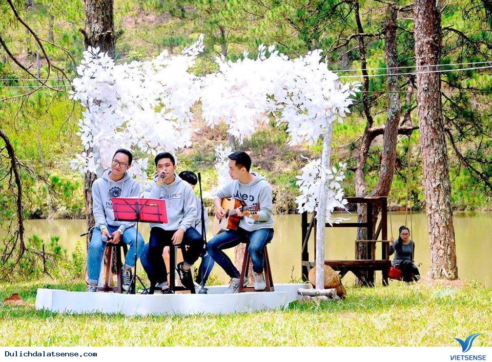 Passion Land - Music and Sport Base Camp DALAT - Ảnh 8 Passion Land - Music and Sport Base Camp DALAT - Ảnh 8