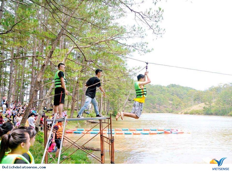 Passion Land - Music and Sport Base Camp DALAT - Ảnh 6 Passion Land - Music and Sport Base Camp DALAT - Ảnh 6