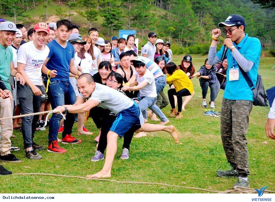 Passion Land - Music and Sport Base Camp DALAT - Ảnh 4 Passion Land - Music and Sport Base Camp DALAT - Ảnh 4
