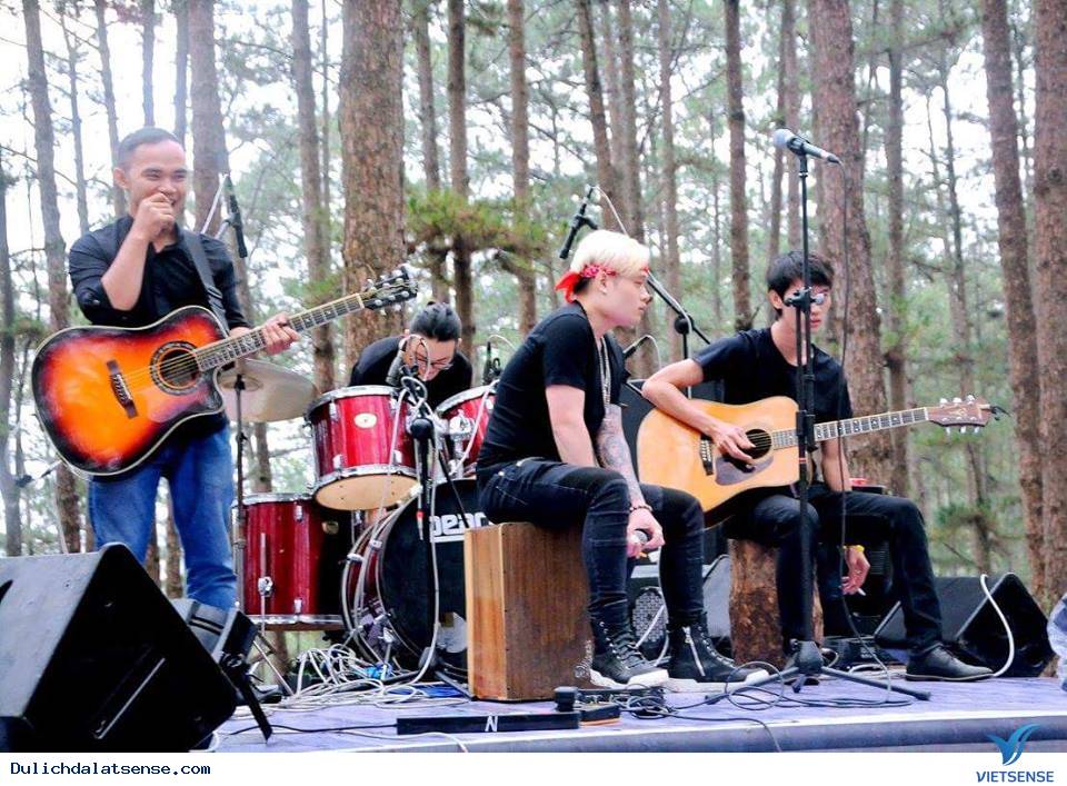 Passion Land - Music and Sport Base Camp DALAT - Ảnh 5 Passion Land - Music and Sport Base Camp DALAT - Ảnh 5