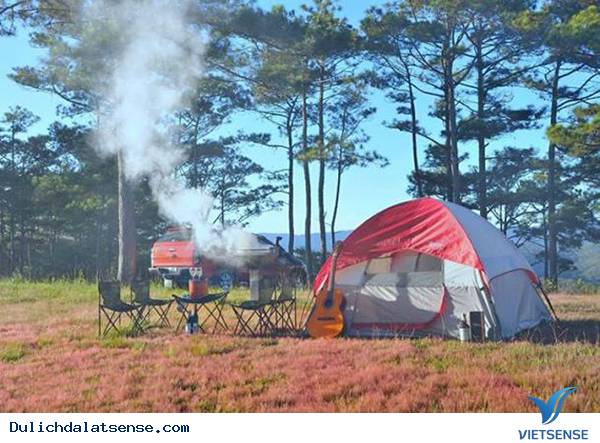 Say sưa check in đồi cỏ tuyết Đà Lạt - Ảnh 4