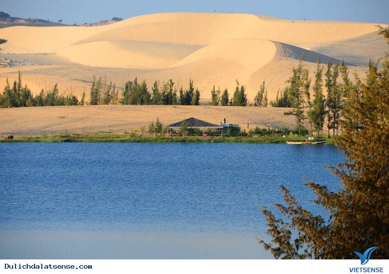 Tết Âm Lịch 2016 Có Nên hành trình Đà Lạt8