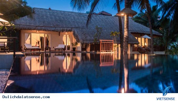 Tết Âm Lịch 2016 Có Nên hành trình Đà Lạt