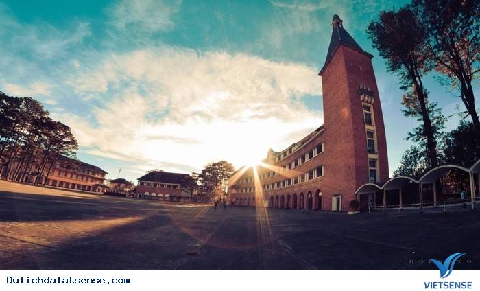 Tết Âm Lịch 2016 Có Nên hành trình Đà Lạt