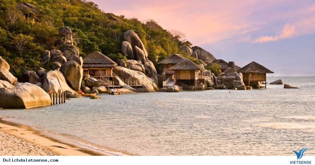 Tết Âm Lịch 2016 Có Nên hành trình Đà Lạt