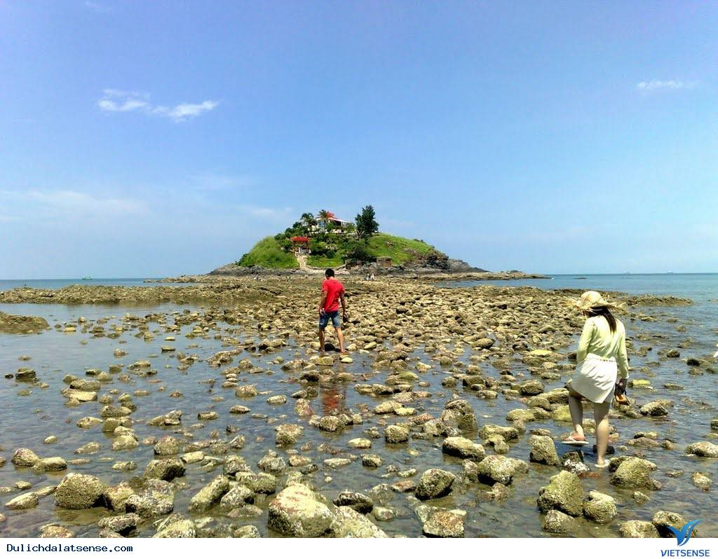 Tết Âm Lịch 2016 Có Nên chương trình
 Đà Lạt