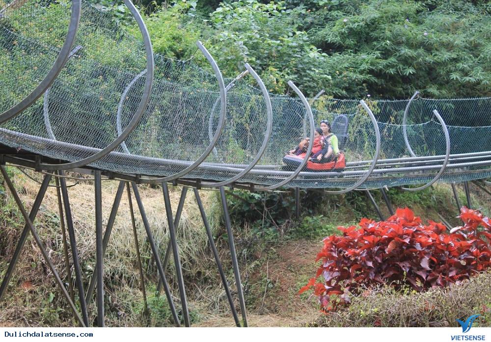 Đi máng trượt ngắm rừng xanh Đi máng trượt ngắm rừng xanh