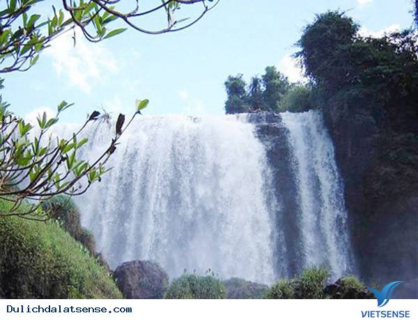 Thác Voi Đà Lạt - Ảnh 3