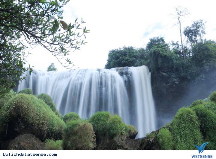 Thác Voi Đà Lạt - Ảnh 2