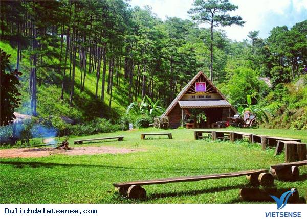 Thiên đường lạc lối giữa những khu vườn cổ tích ở Đà Lạt - Ảnh 1 Thiên đường lạc lối giữa những khu vườn cổ tích ở Đà Lạt - Ảnh 1