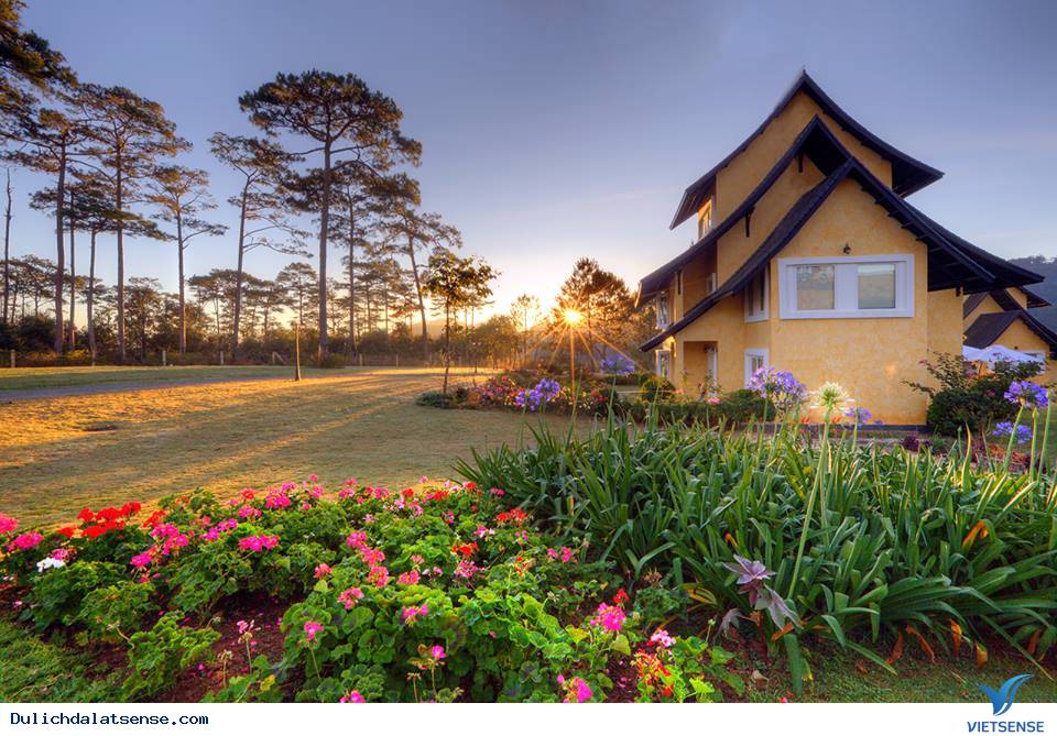 Thiên đường lạc lối giữa những khu vườn cổ tích ở Đà Lạt - Ảnh 7 Thiên đường lạc lối giữa những khu vườn cổ tích ở Đà Lạt - Ảnh 7