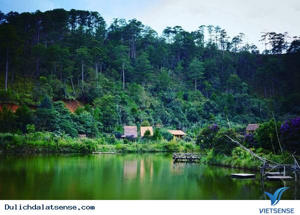 Thiên đường lạc lối giữa những khu vườn cổ tích ở Đà Lạt - Ảnh 5 Thiên đường lạc lối giữa những khu vườn cổ tích ở Đà Lạt - Ảnh 5